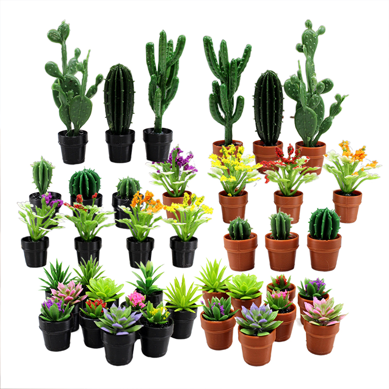 Echeveria Succulent - 8 pezzi di piccole piante in