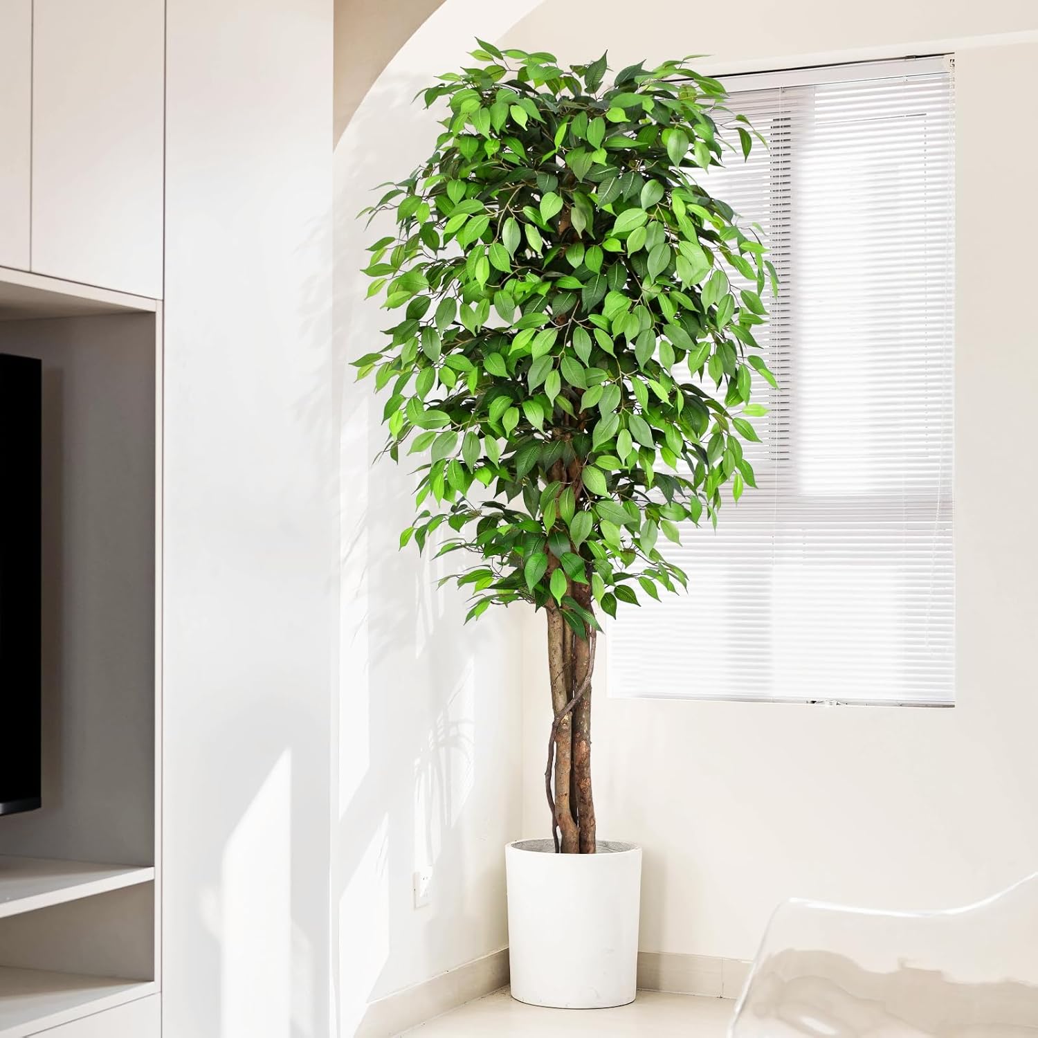 Albero di Ficus Artificiale Re - Ficus Lyrata Tree recensione e prezzo
