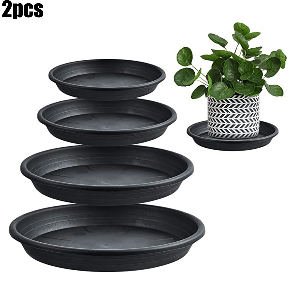 2 pezzi vassoi per piante roto - Echeveria Succulent recensione e prezzo