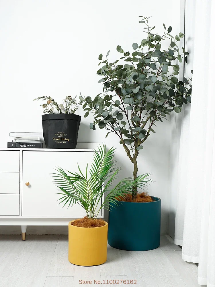 1pc nuovo vaso da fiori in cer - Echeveria Succulent recensione e prezzo