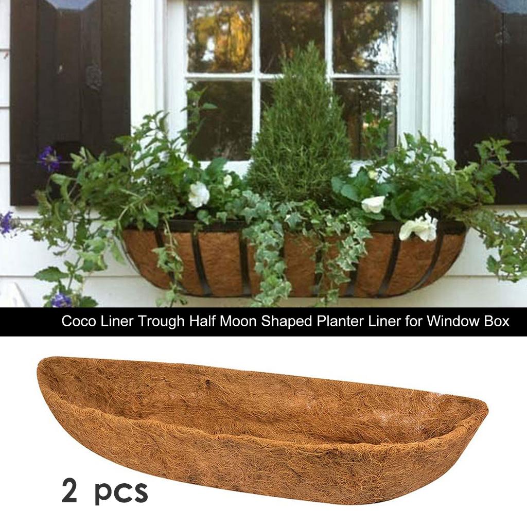Inserto in Fibra di Cocco per  - Spider Plant Hanging recensione e prezzo