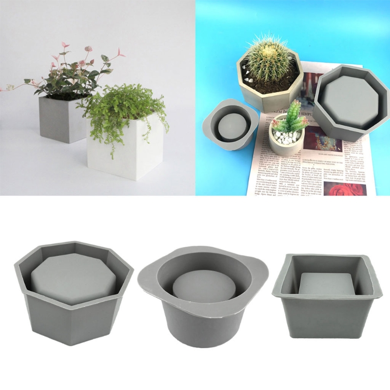 Fatto a mano succulente fiorie - Echeveria Succulent recensione e prezzo