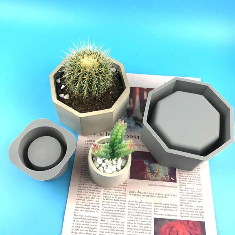 Fatto a mano succulente fiorie - Echeveria Succulent recensione e prezzo