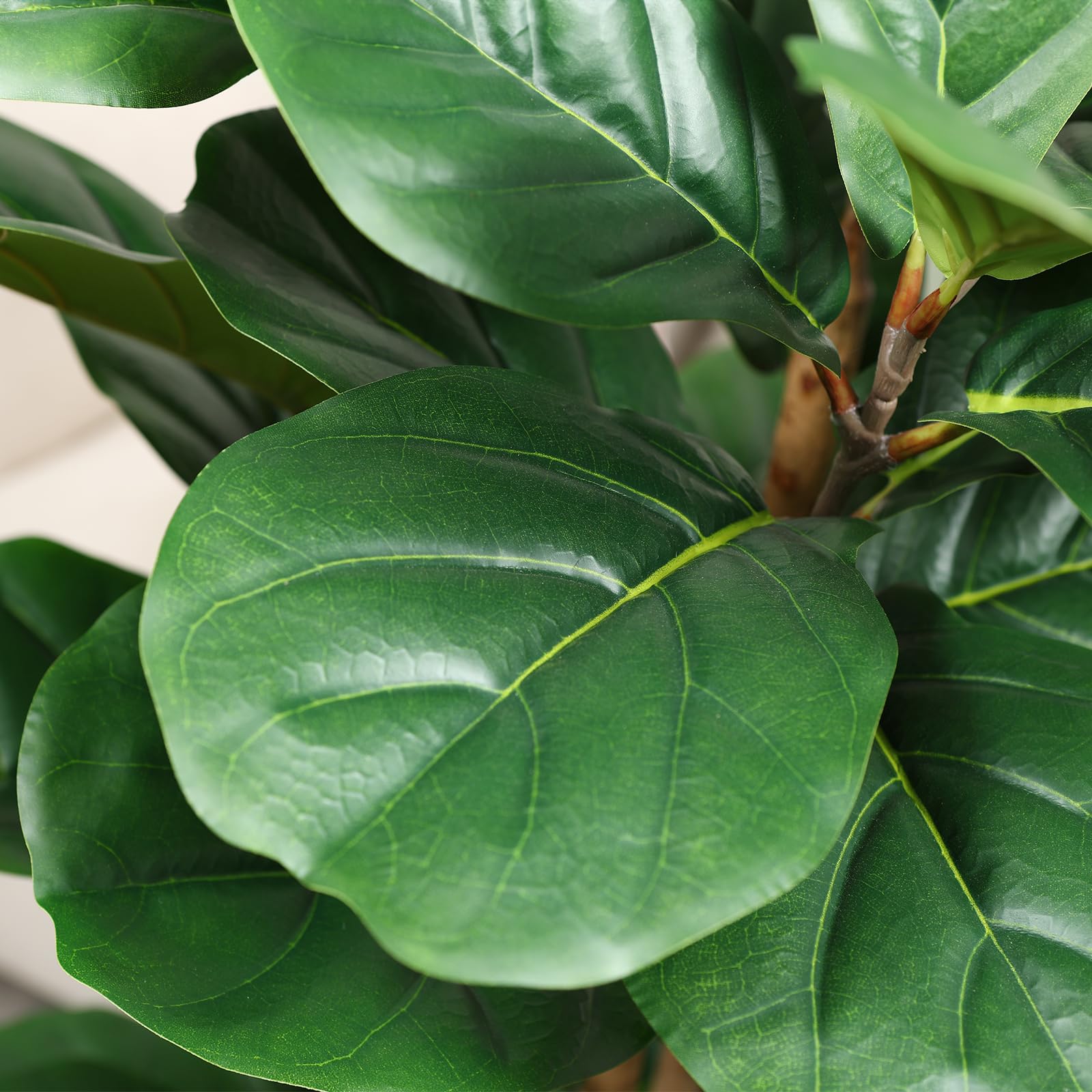 Albero di fico artificiale con - Ficus Lyrata Tree recensione e prezzo