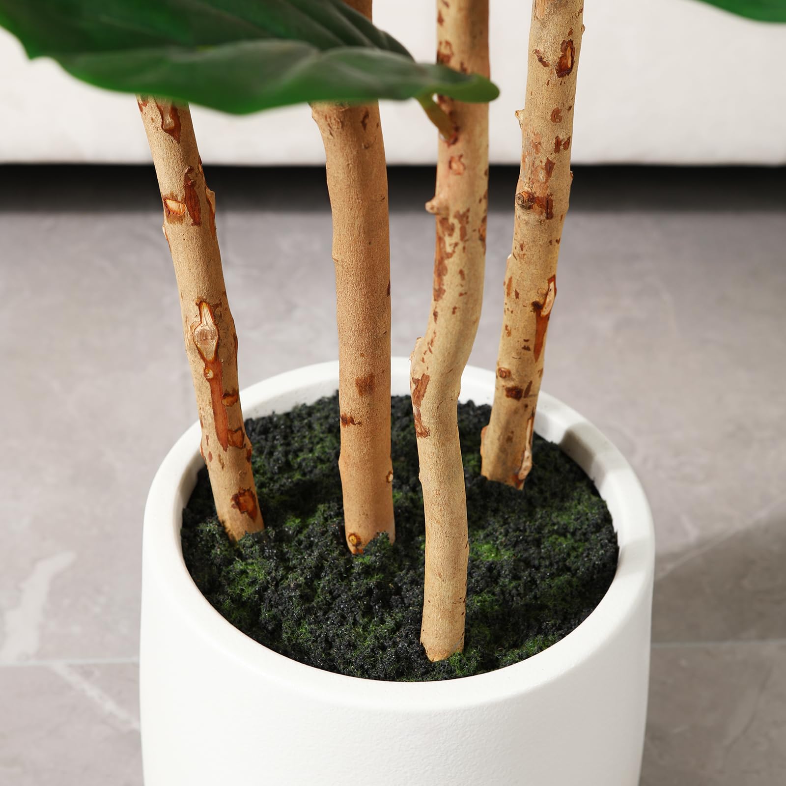 Albero di fico artificiale con - Ficus Lyrata Tree recensione e prezzo